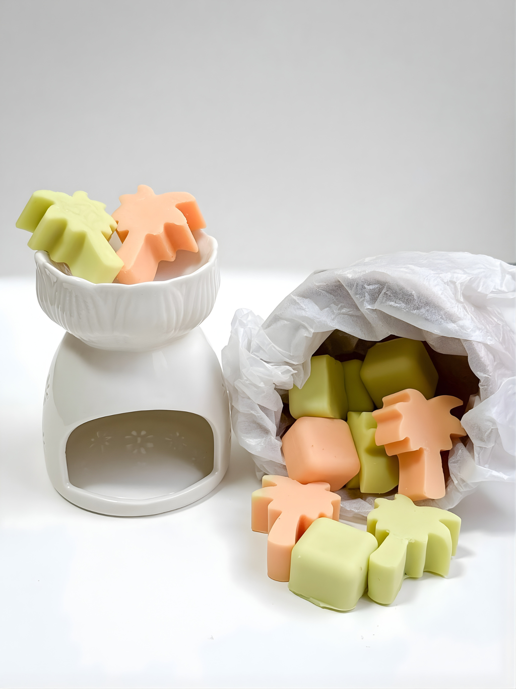 Wax Melts  Oasis de Mango