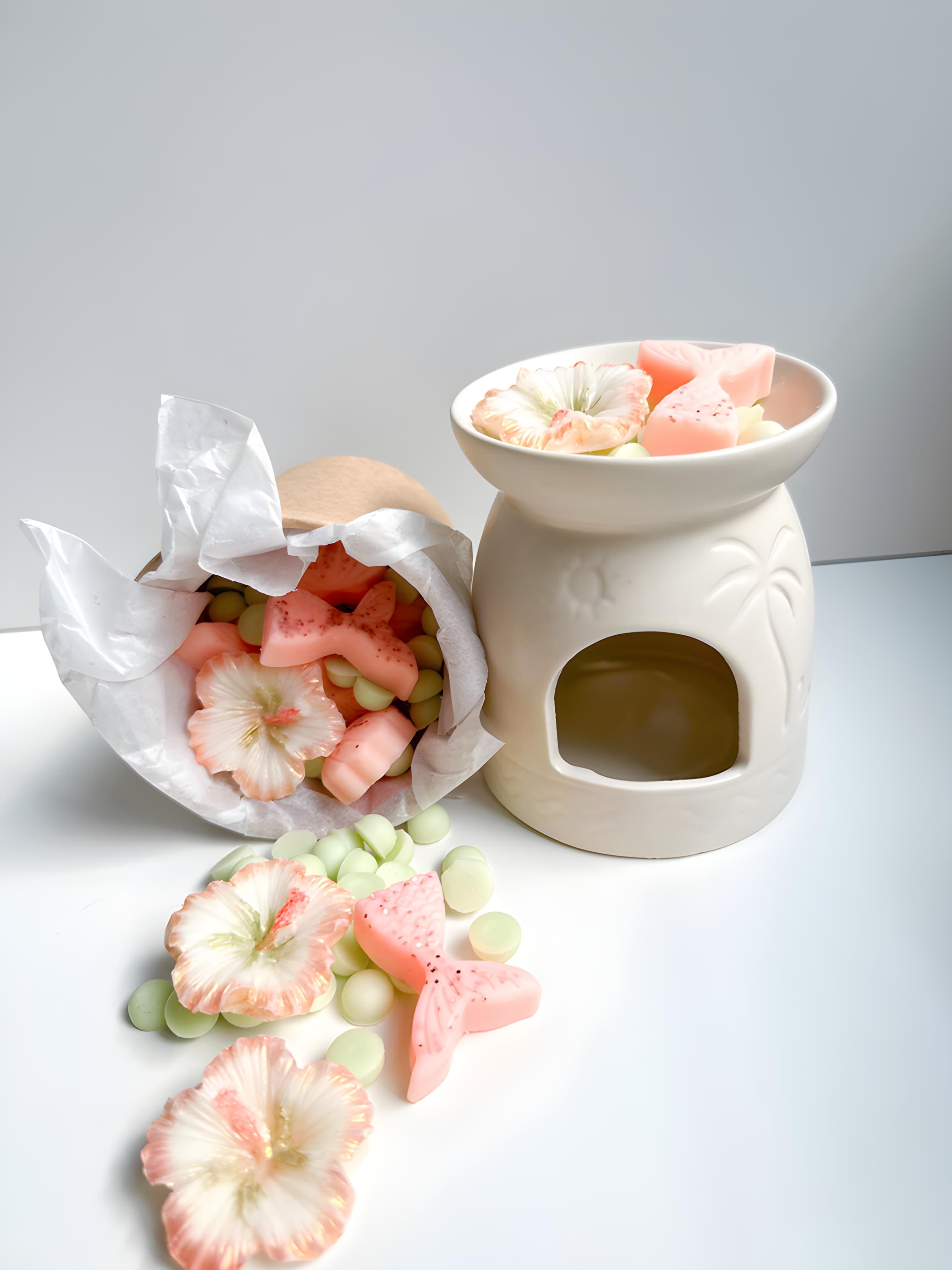 Wax Melts Melón de Verano (Tózar)