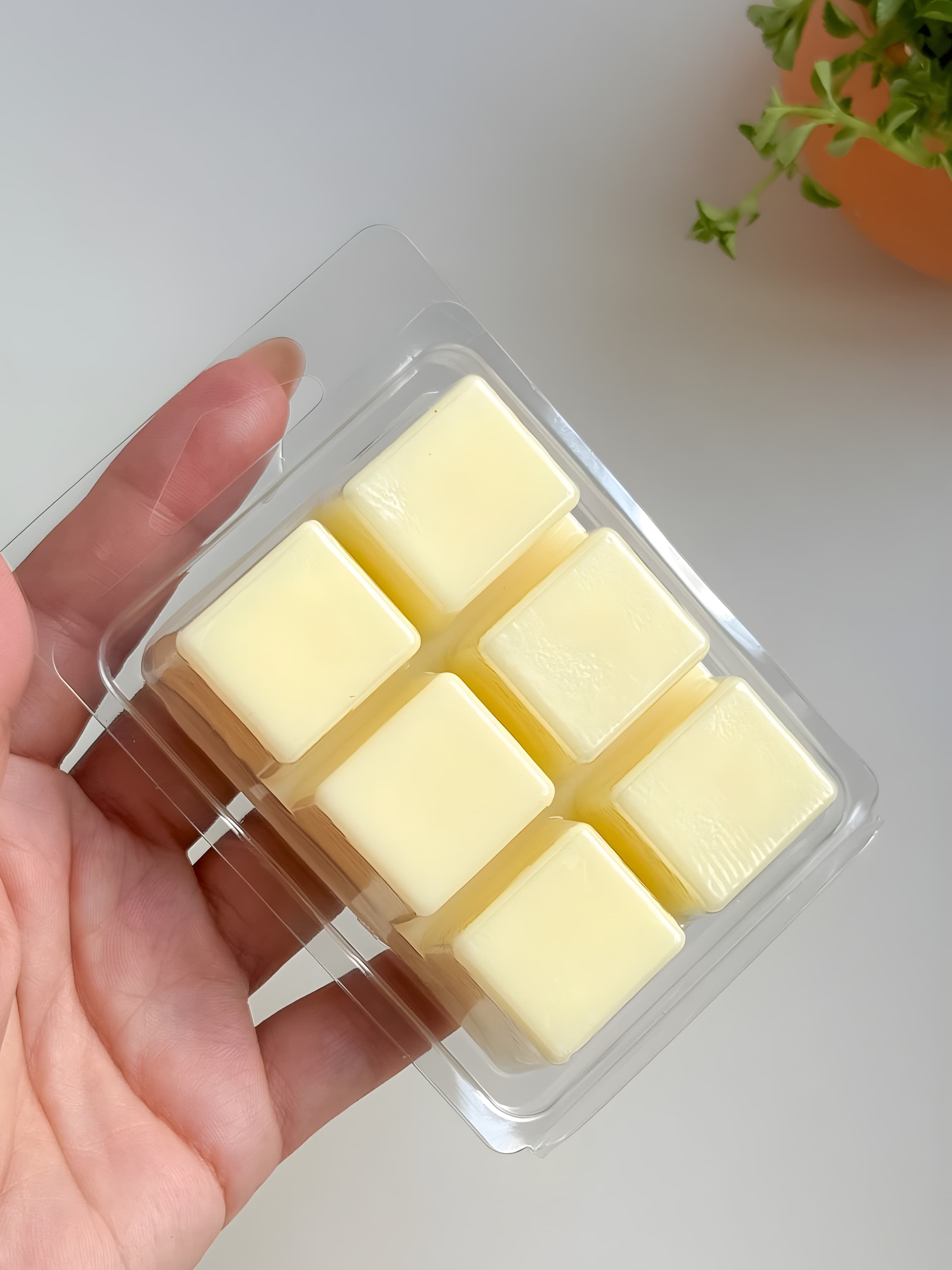 Waxmelt Citronela