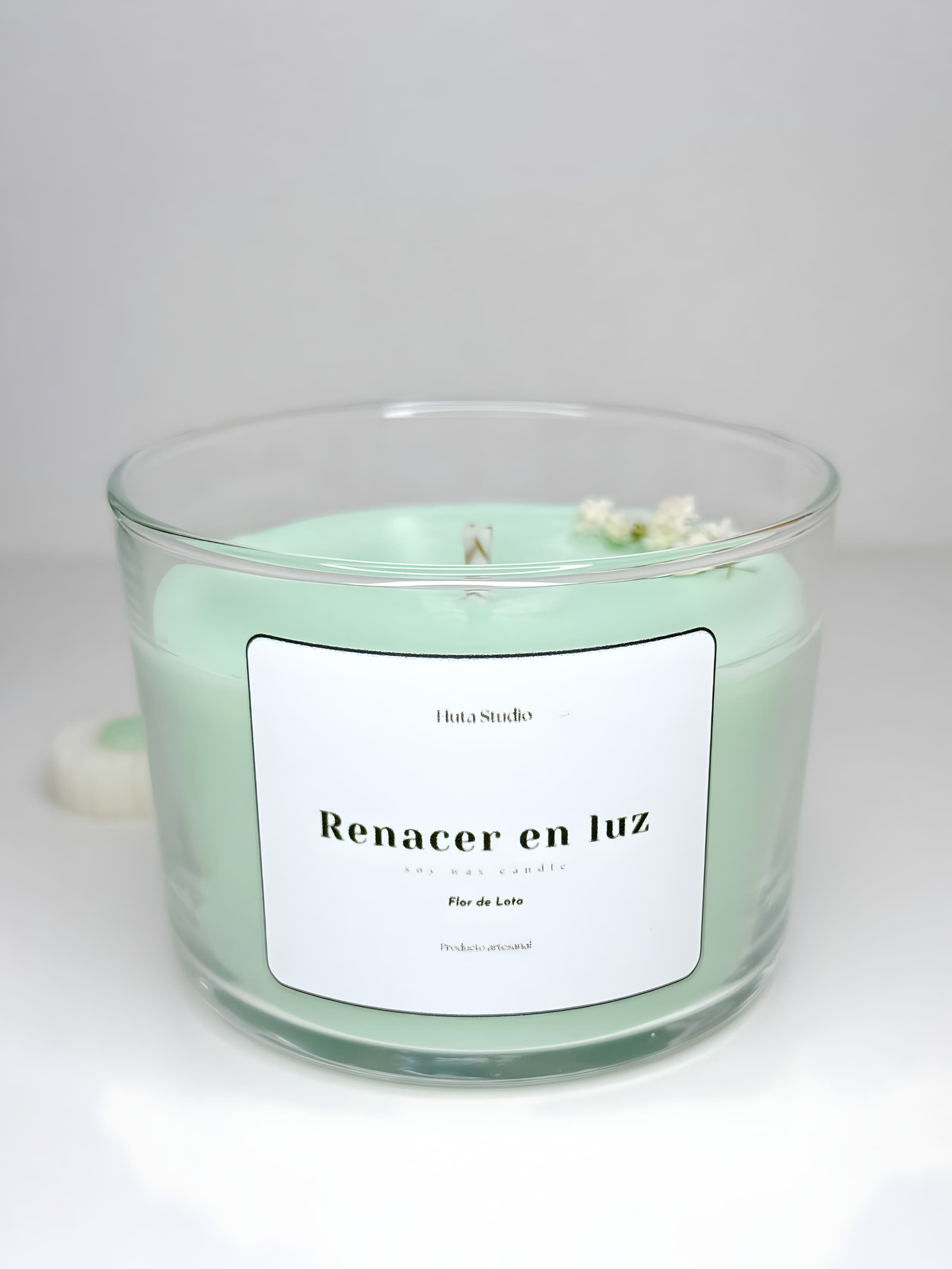 Vela Renacer en luz