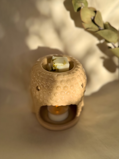 Pack de Waxmelts – Aromaterapia