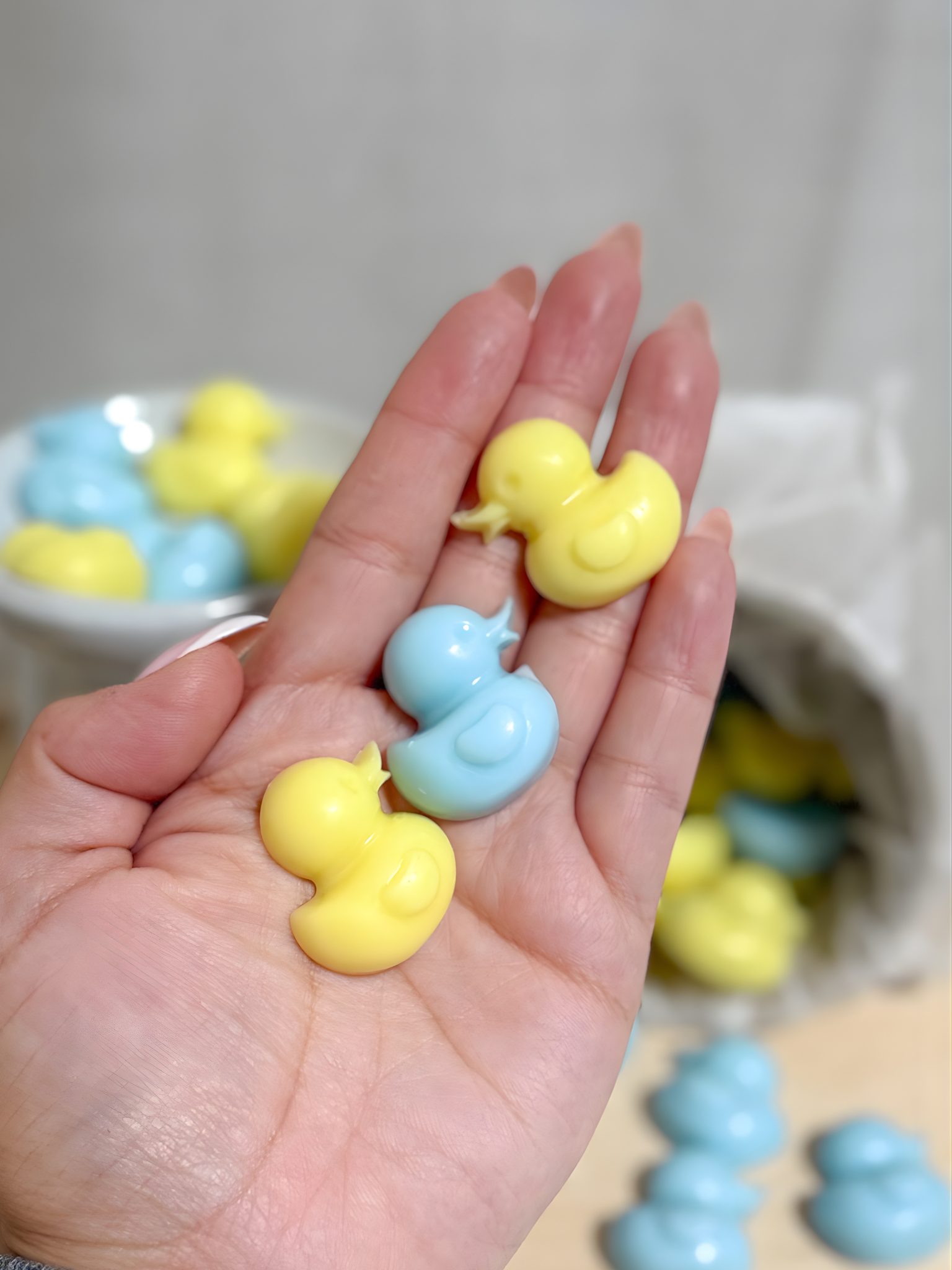 Wax Melt Ropa Limpia